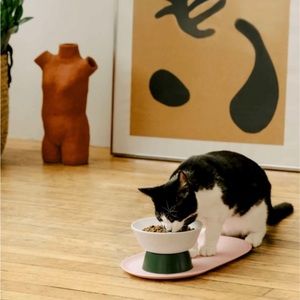 CatPerson Cat Food Bowl